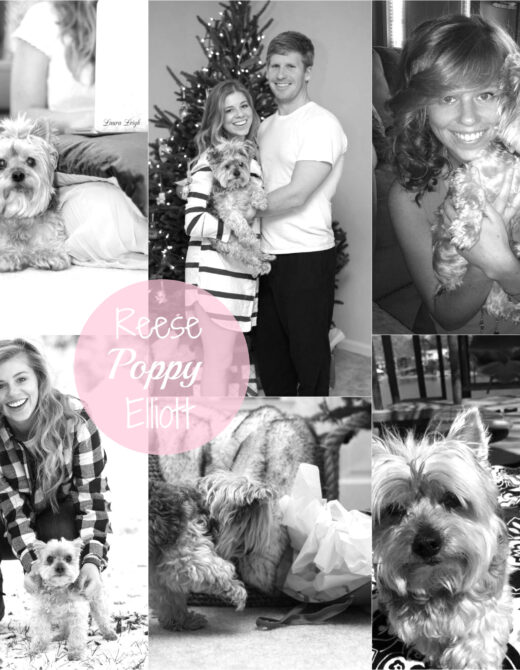 Reese Poppy // Louella Reese Life & Style Blog