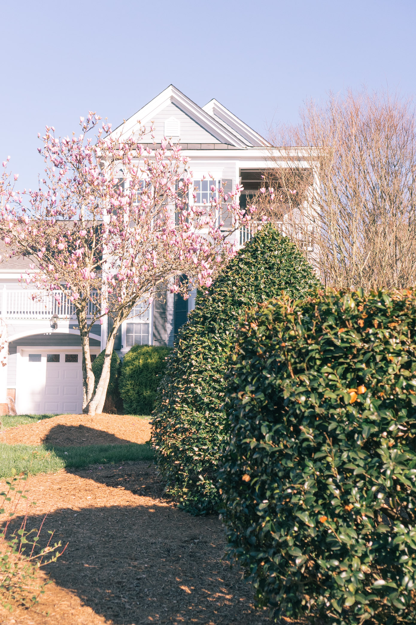 Charlotte, NC in the Spring | Louella Reese Life & Style Blog