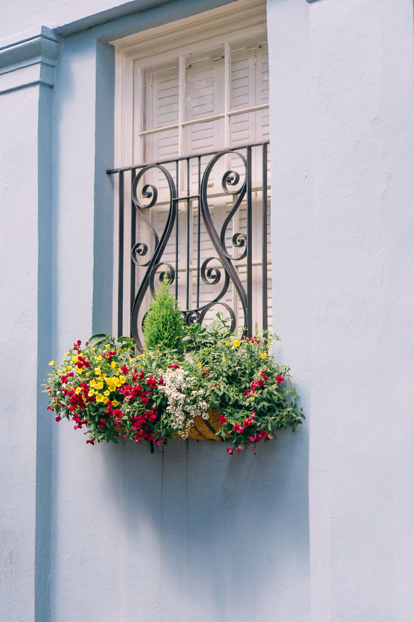 Charleston Window Boxes | Explore Charleston | Louella Reese Life & Style Blog