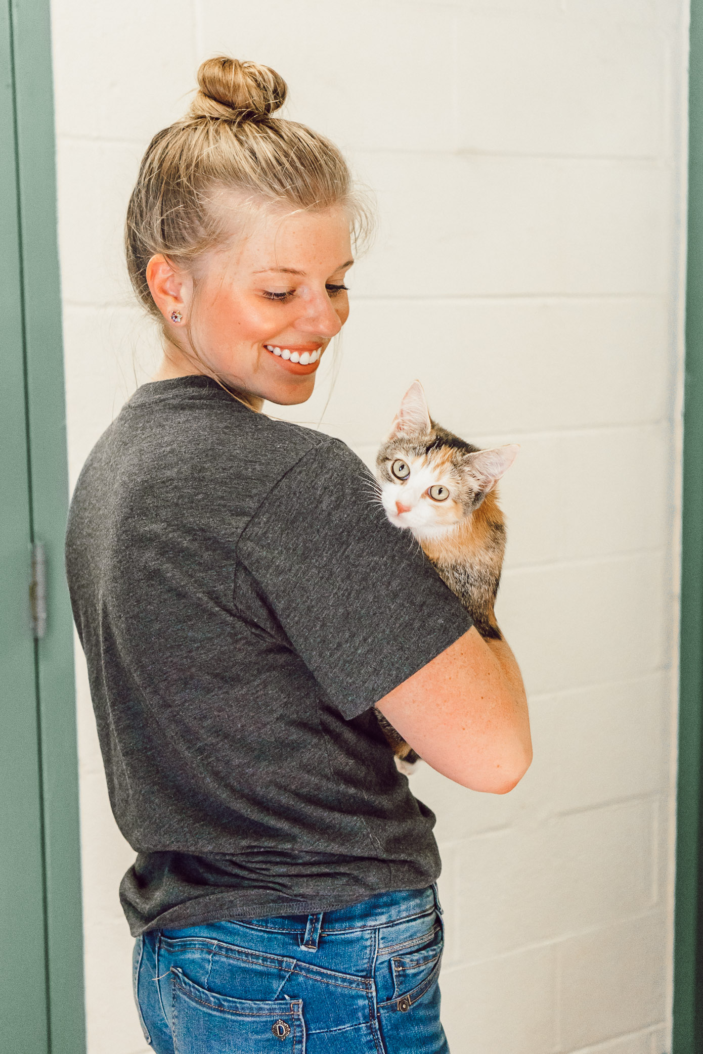 Kittens for Adoption in Charlotte NC | The Humane Society Charlotte featured on Louella Reese Blog