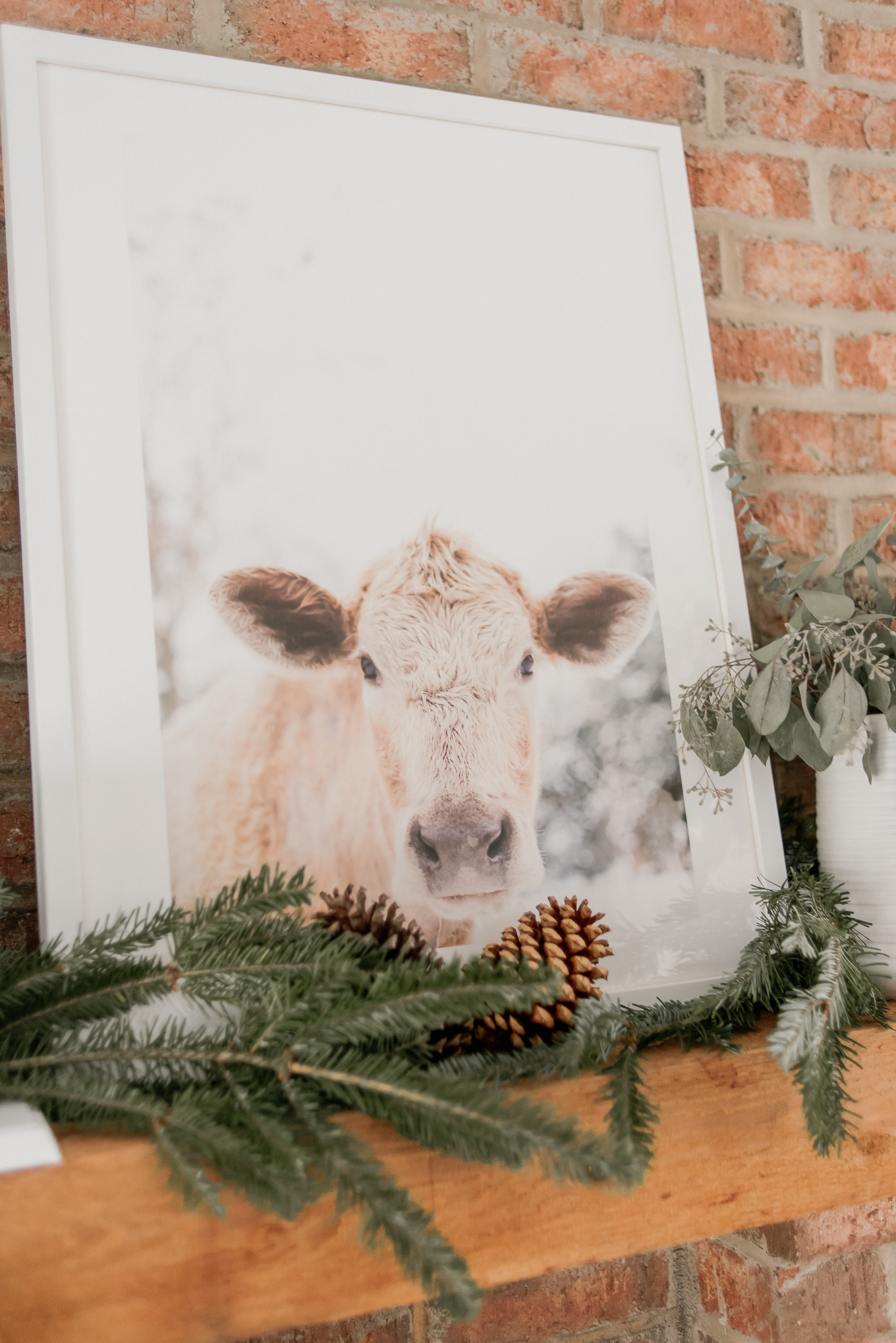 Cow Print | Farm Animal Decor | Louella Reese