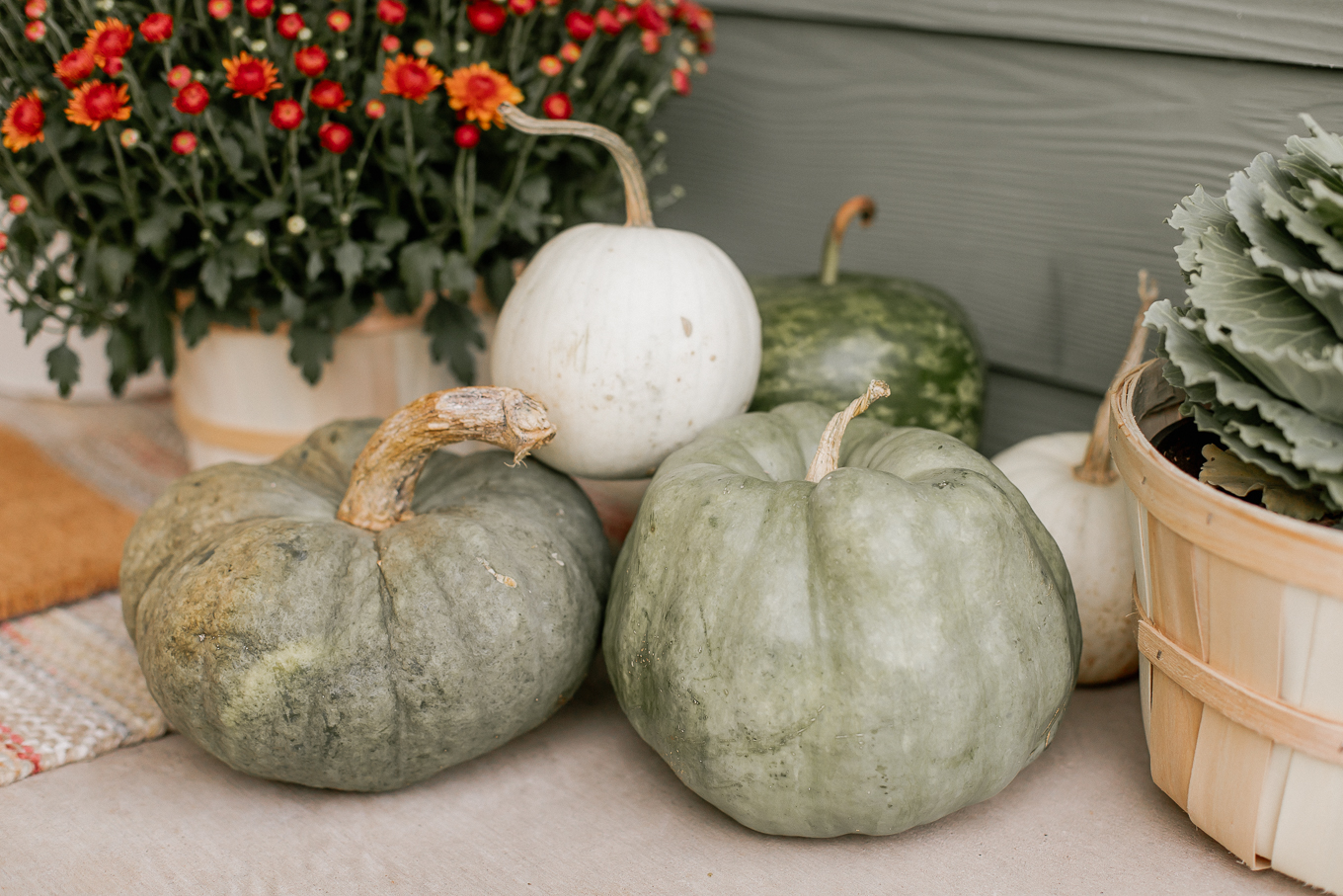 Fall front porch essentials, Decor, Green Pumpkins | Louella Reese