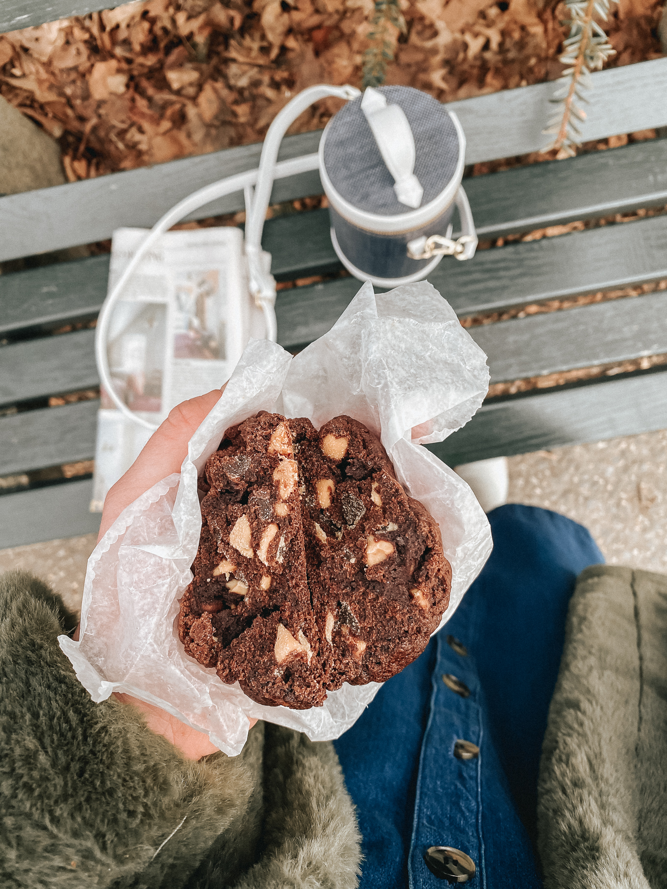 BEST Chocolate Chip Cookies | Louella Reese